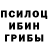 Псилоцибиновые грибы GOLDEN TEACHER Fernando SS