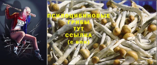 прущая мука Аркадак