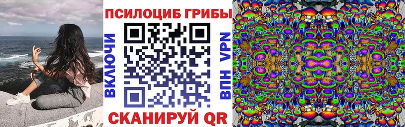 как найти закладки дарк нет как зайти Галлюциногенные грибы Psilocybe Зерноград